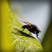 /album/vestidos-de-novia/photolia-a04-jpg/