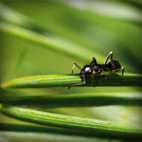 /album/vestidos-de-novia/photolia-a05-jpg/