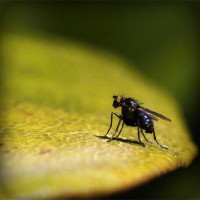 /album/vestidos-de-novia/photolia-a07-jpg/